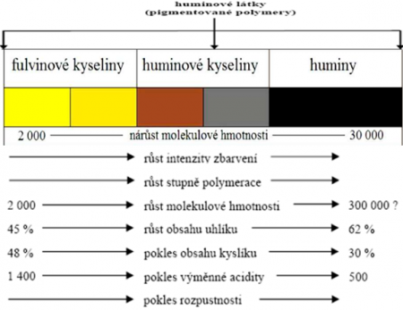 Úroveň expertních činností ....